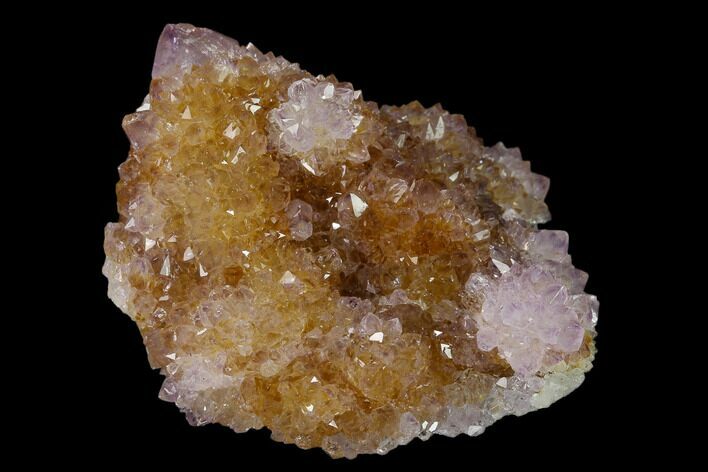 Cactus Quartz (Amethyst) Crystal Cluster - South Africa #137751